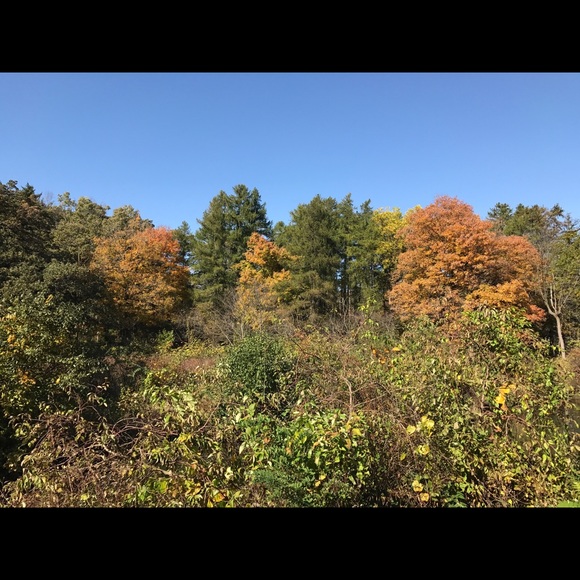 Meet your Posher, Val - Picture 1 of 1