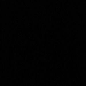 Meet your Posher, Raven