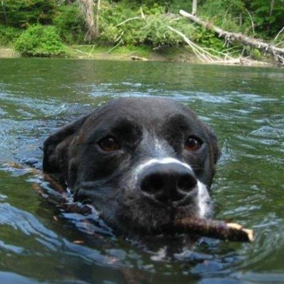 Meet your Posher, Jj - Picture 1 of 1