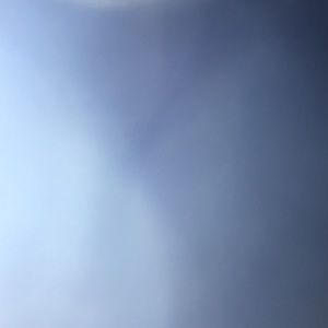 Meet your Posher, Rose