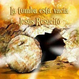 Meet your Posher, Oscar