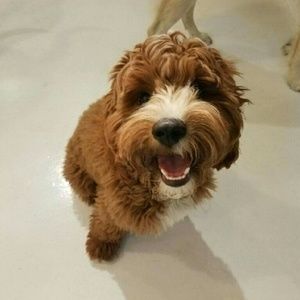 Meet your Posher, Sonia