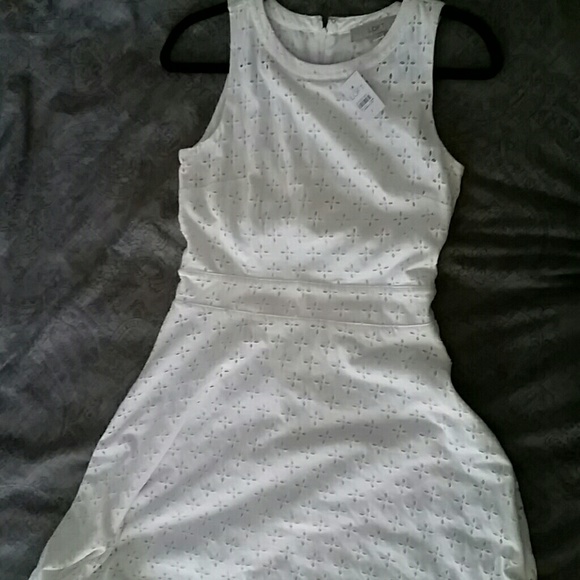 Cotton eyelet knit fit & flare loft dress