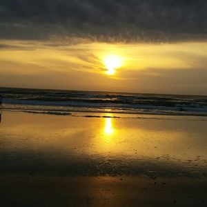 Meet your Posher, Sylvia