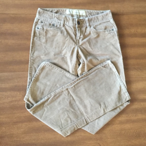 Ann Taylor LOFT Camel Boot Cut Corduroys
