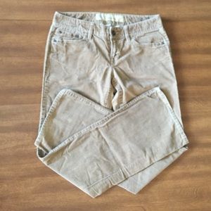 Ann Taylor LOFT Camel Boot Cut Corduroys