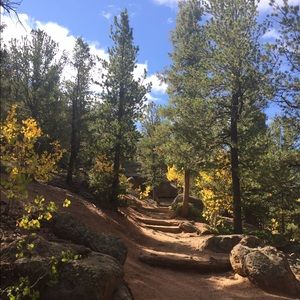 Meet your Posher, Grace