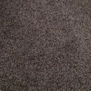 Meet your Posher, Devon