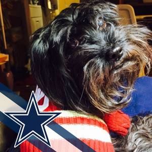 Meet your Posher, Paula