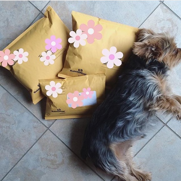 Meet your Posher, Maia - Picture 5 of 8