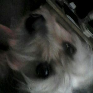 Meet your Posher, Becca