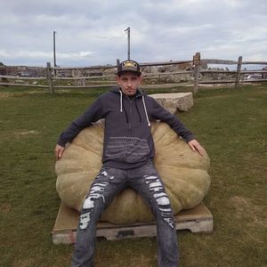 Meet your Posher, Alan