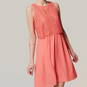 Ann Taylor Loft Pink Circle Lace Bodice Dress