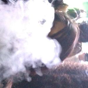 Meet your Posher, Lisette