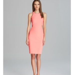 Elizabeth and James dress