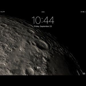 Meet your Posher, Jeannie