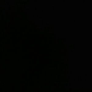 Meet your Posher, Cody