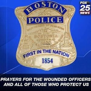 Meet your Posher, Darlene