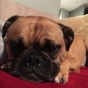 Meet your Posher, Neal