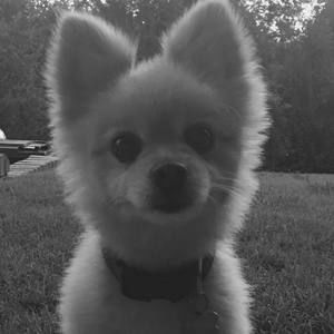 Meet your Posher, Mandie