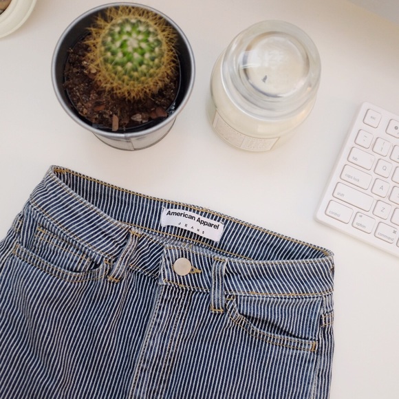 American Apparel striped ankle zip skinny jeans