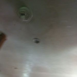 Meet your Posher, Terrell