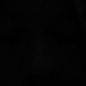 Meet your Posher, Peter