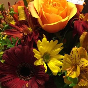 Meet your Posher, Marie