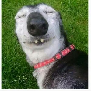 Meet your Posher, Demarkion