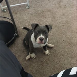 Meet your Posher, Jarrod