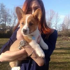 Meet your Posher, Kris