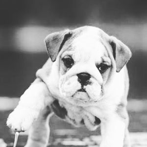 Meet your Posher, Mari