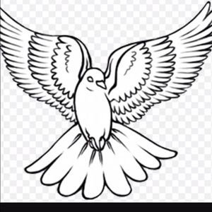 Meet your Posher, Angel