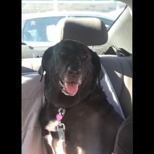 Meet your Posher, Rebecca