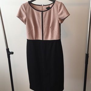 Ann Taylor Dress