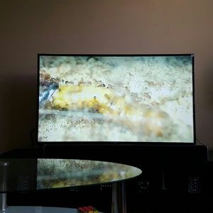 Meet your Posher, Bush