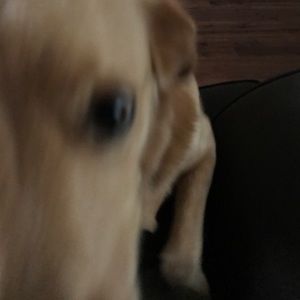 Meet your Posher, Cynthia