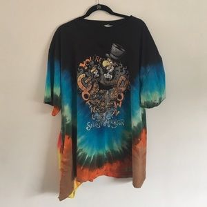 Vintage Splash Mountain Disney Tie-dye