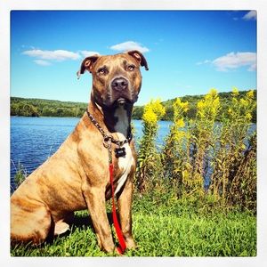 Meet your Posher, Victoria