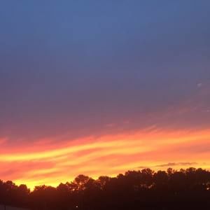 Meet your Posher, Mitchell