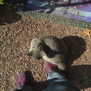 Meet your Posher, Cara