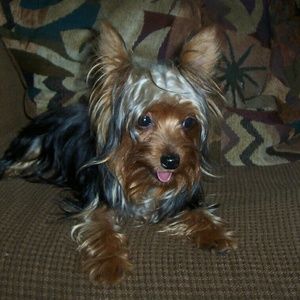 Meet your Posher, Maria