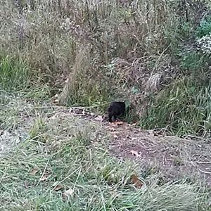 Meet your Posher, Holly