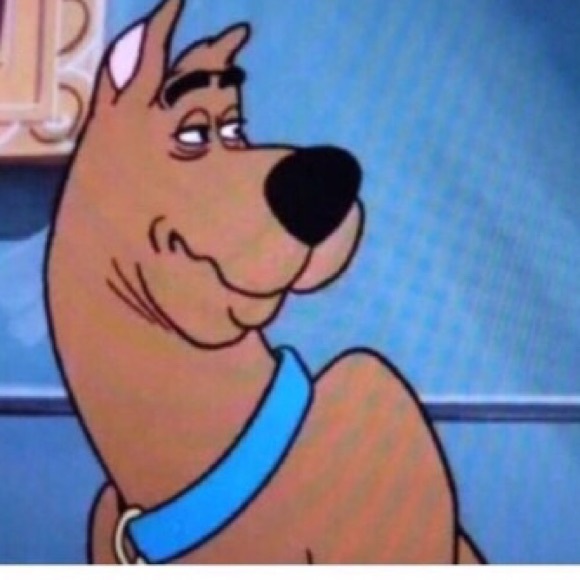 Meet your Posher, Rhiannon