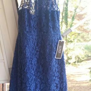 Beautiful royal blue lace  dress, Jcrew new!