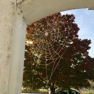 Meet your Posher, Ava