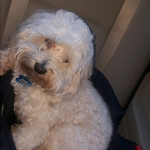 Meet your Posher, Monica