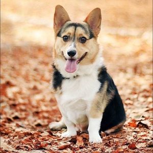 Meet your Posher, Sommer