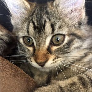 Meet your Posher, Lanae