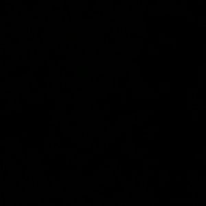 Meet your Posher, Rene